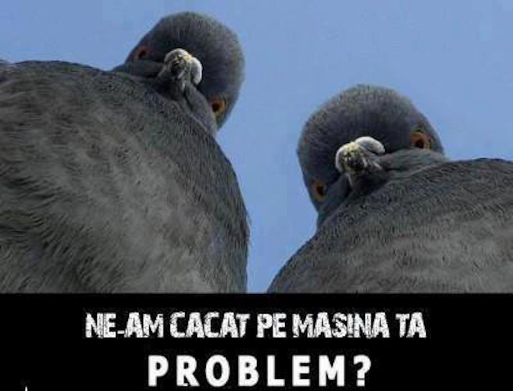 Net stuff - 969908568782216494530968995764n.jpg